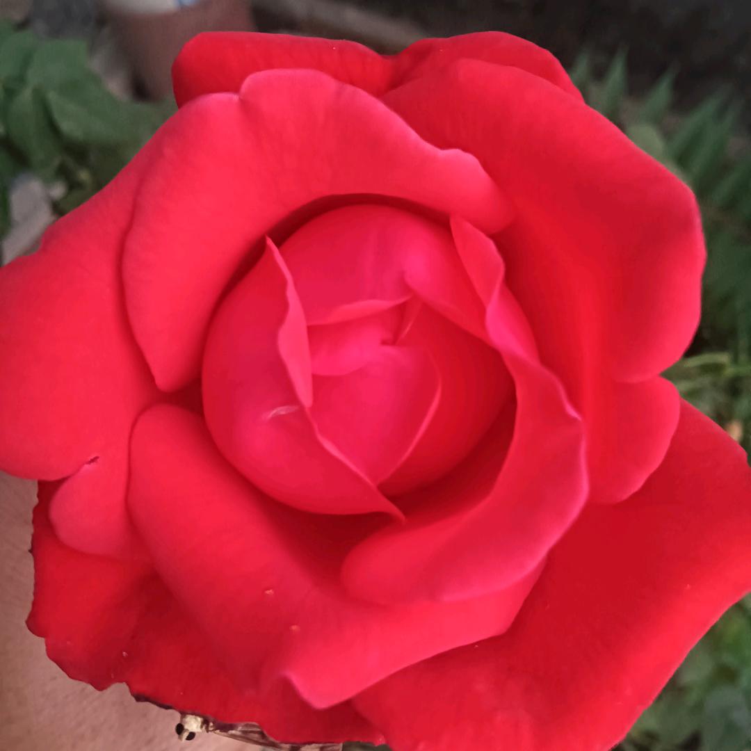 余生❤️🌺有你