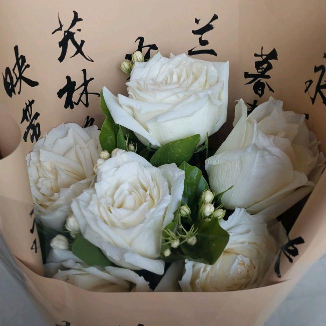 玉豆