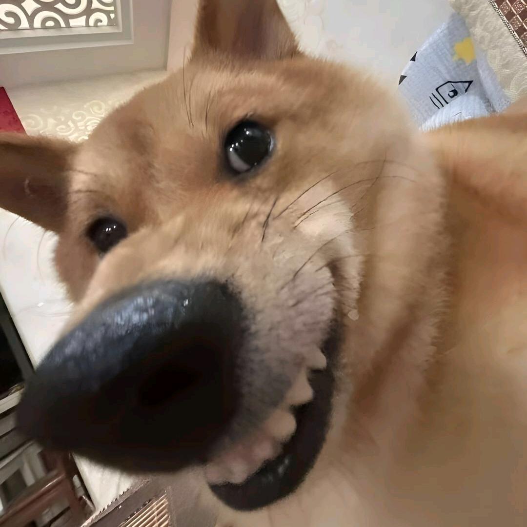 你大爷终究是你大爷