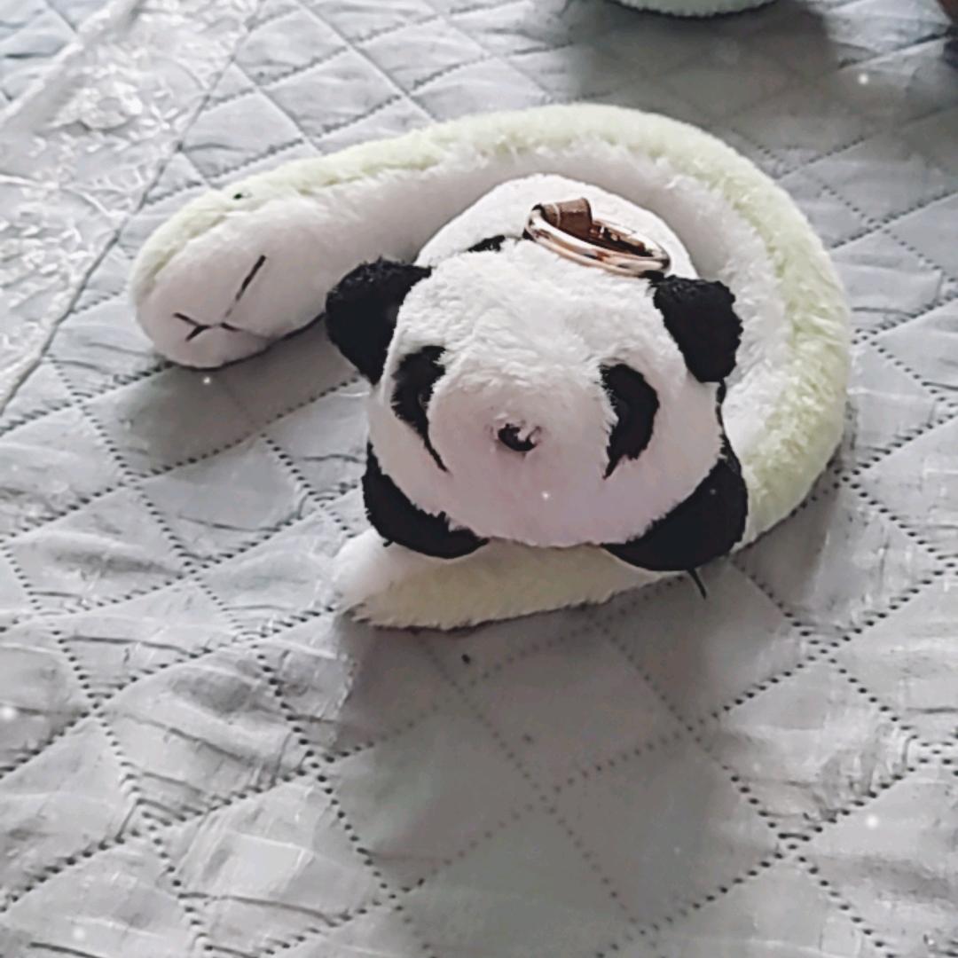 蛇年快乐