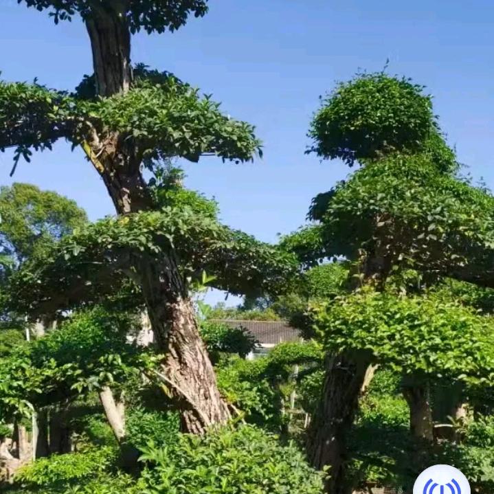 花甲后的生活