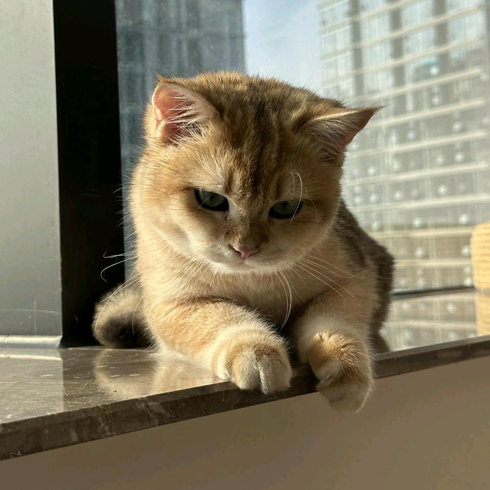 好运
