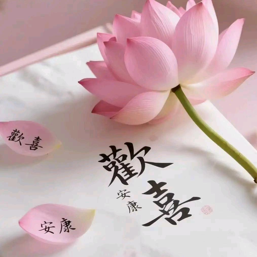 🌻证宁📿
