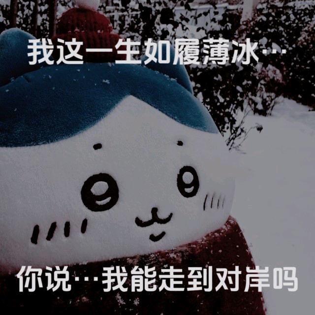 [看][看][看][看][看][看]