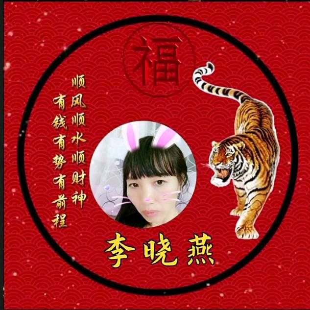 飞越梦想