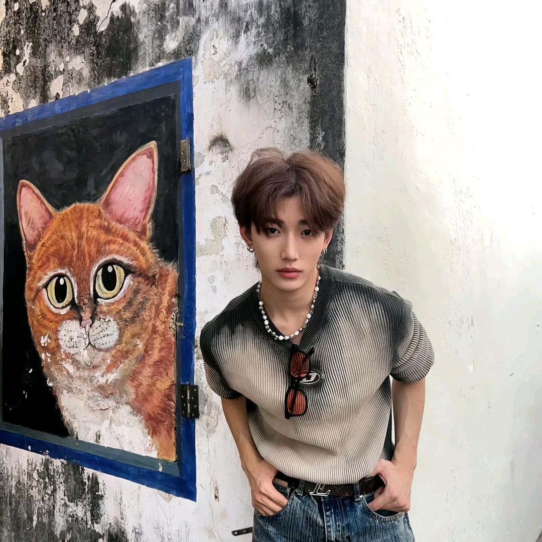 爱玩游戏的小猫