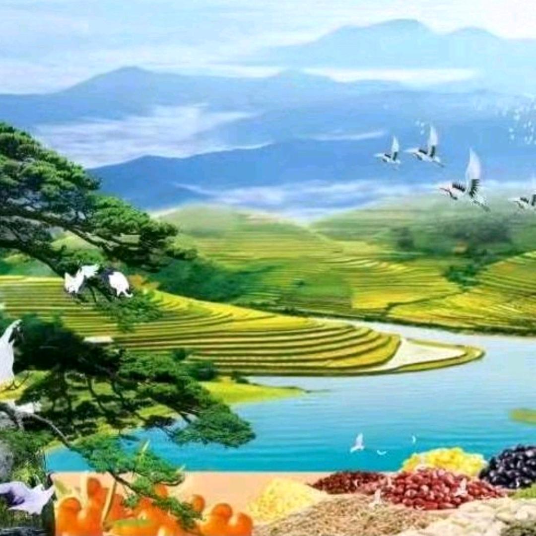 诗小白
