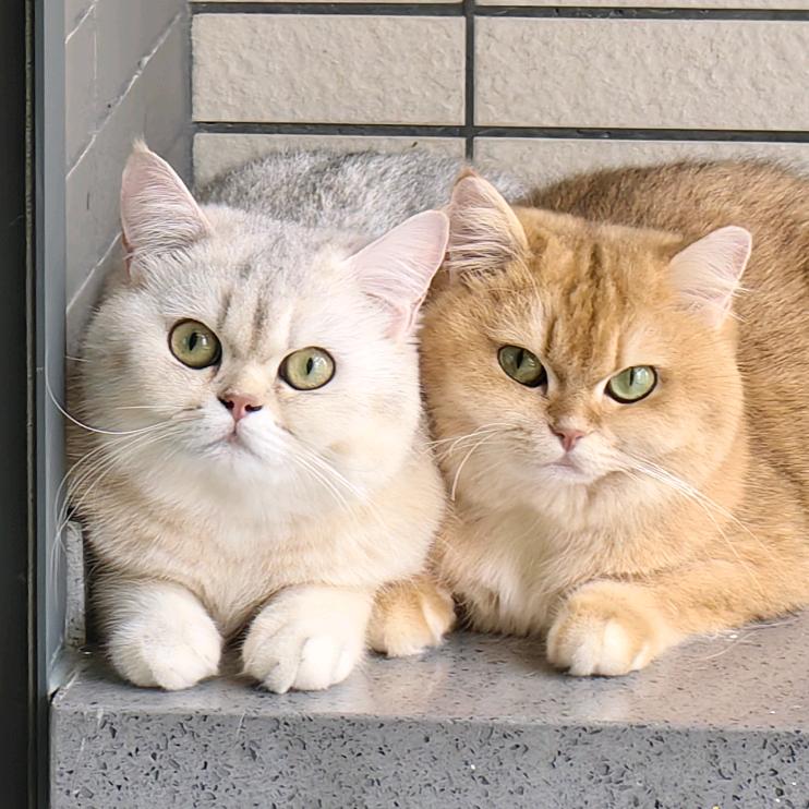 奥特曼～做个简单舒服普通人（记录生活）