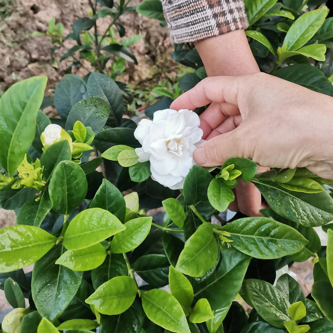 沧海一粟