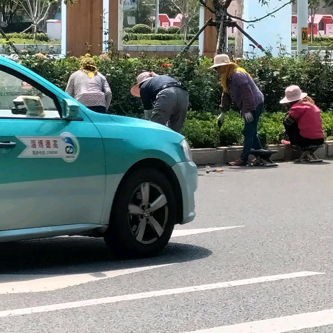 绿化