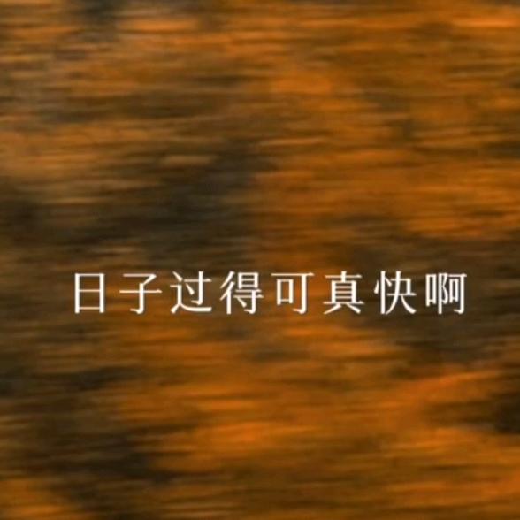 你相信光吗