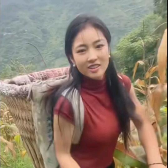 农村农业—山里人建芳