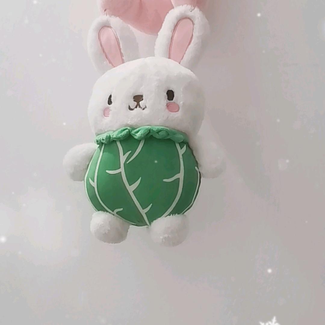 “”/”