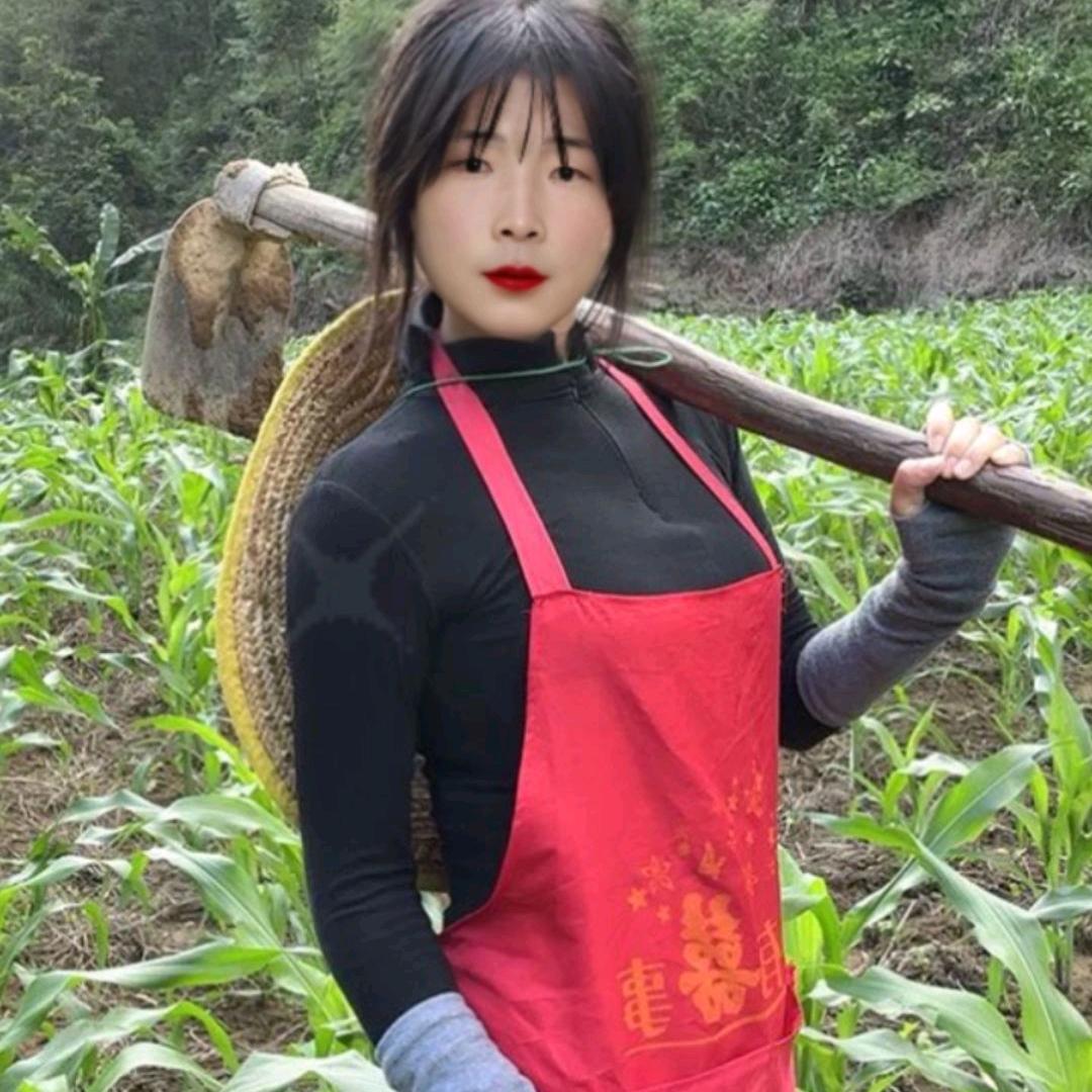毛毛虫🐛