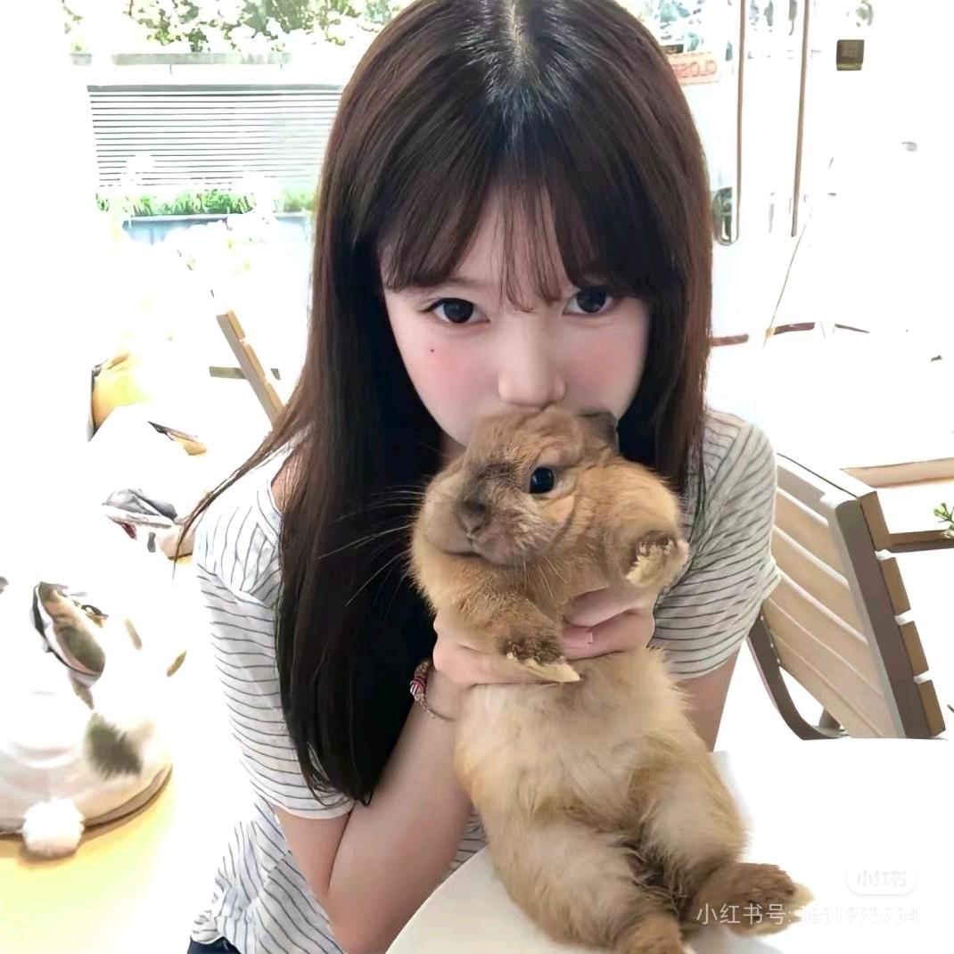 -张鱼小丸子🍡