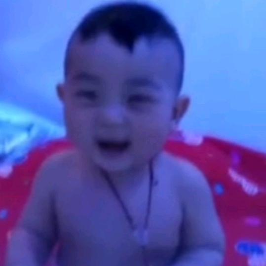 燕子飞翔