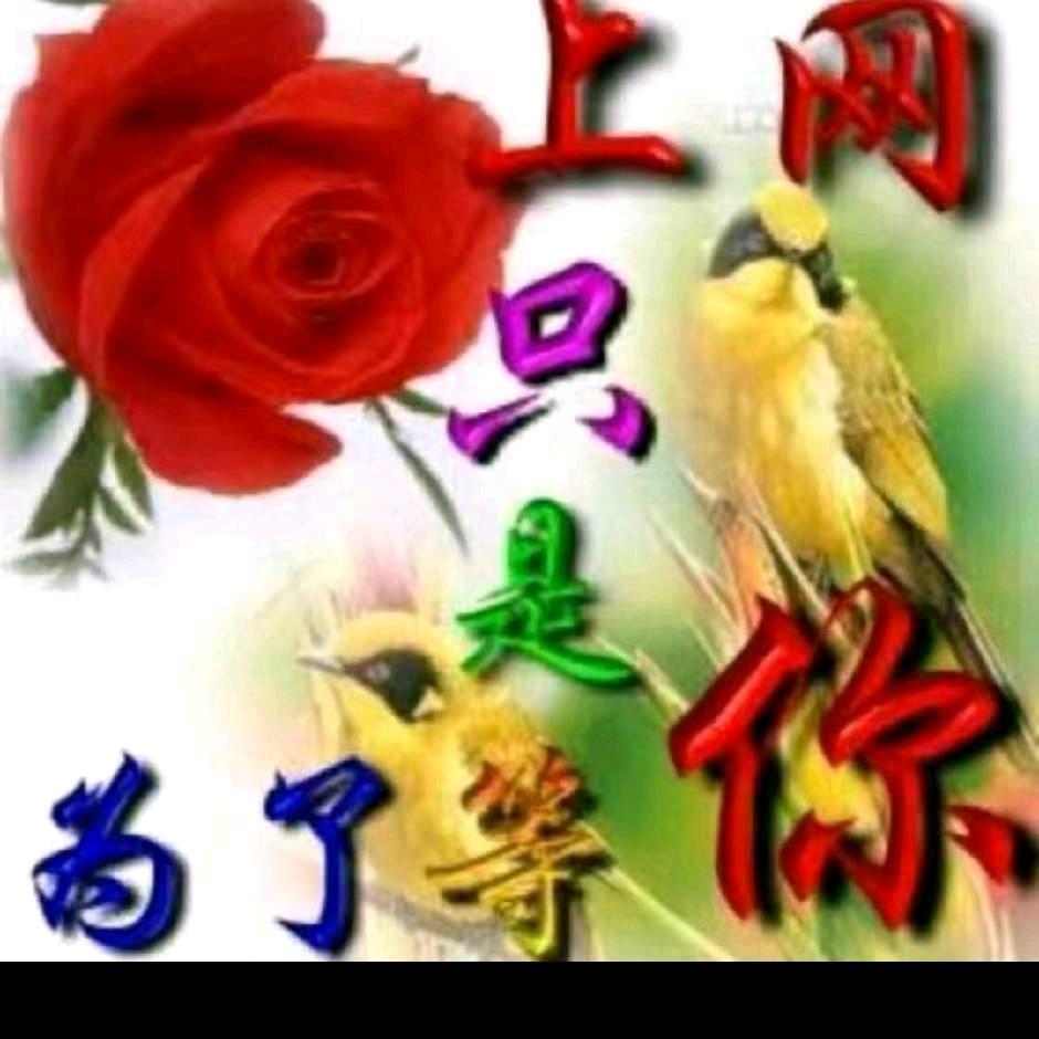 心治