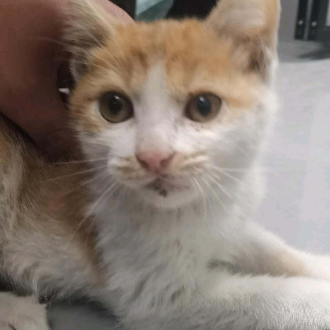 那场雨下了很久