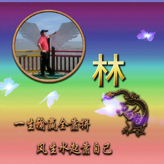 👍《随心而行》🐉