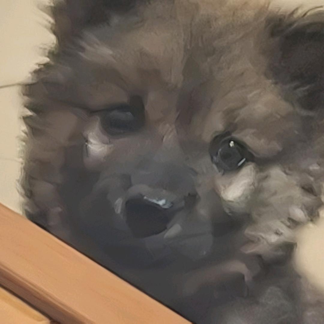 东方居易剋萊银藍