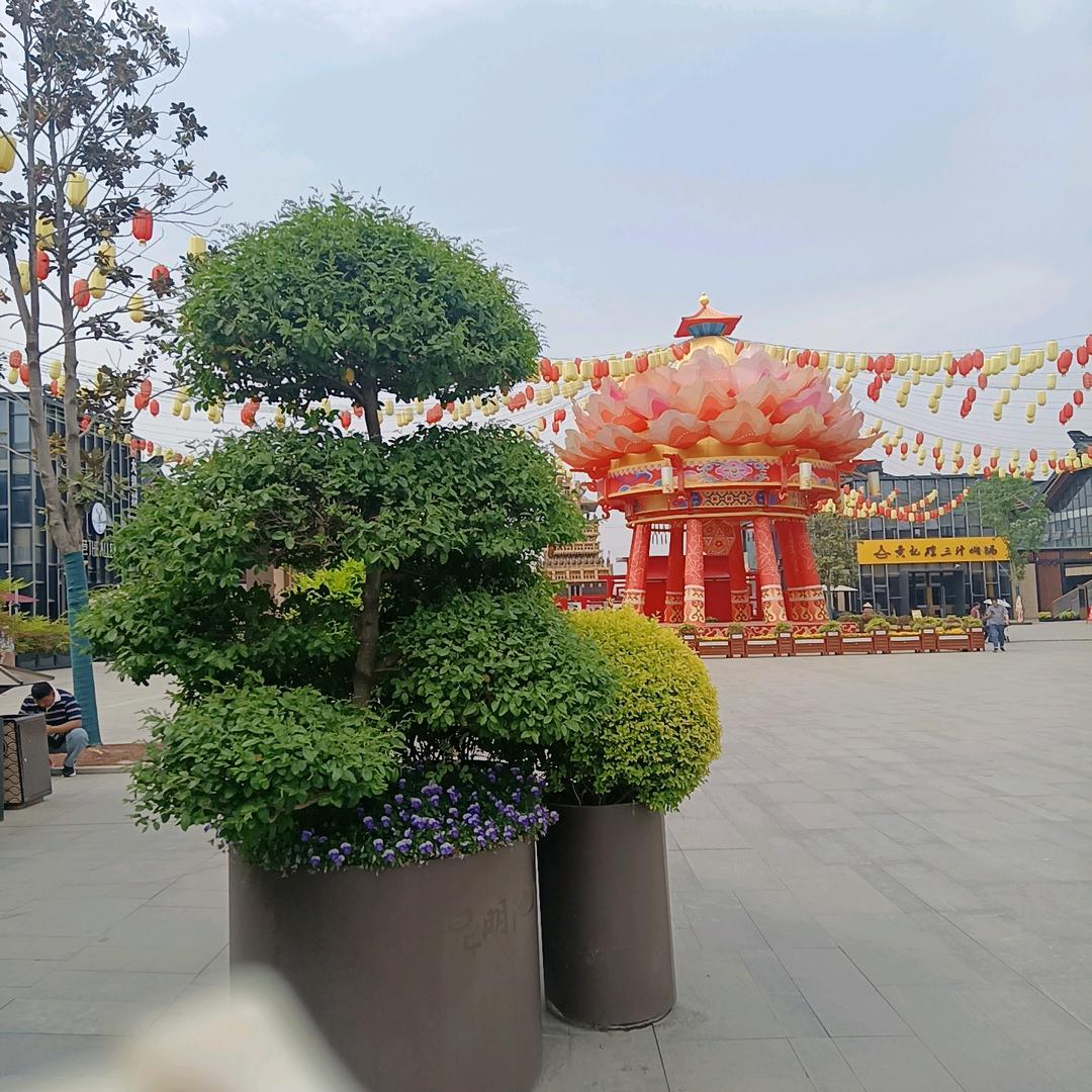 永远幸福