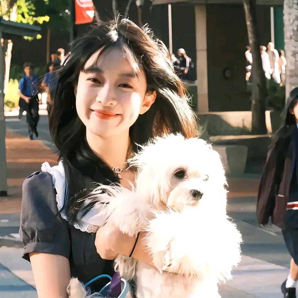 麓齐💛