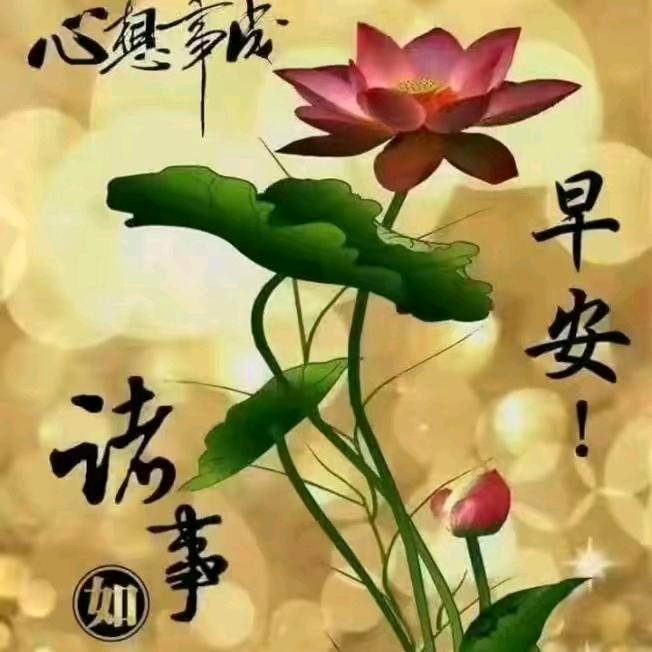 真爱永恒，幸福快乐。