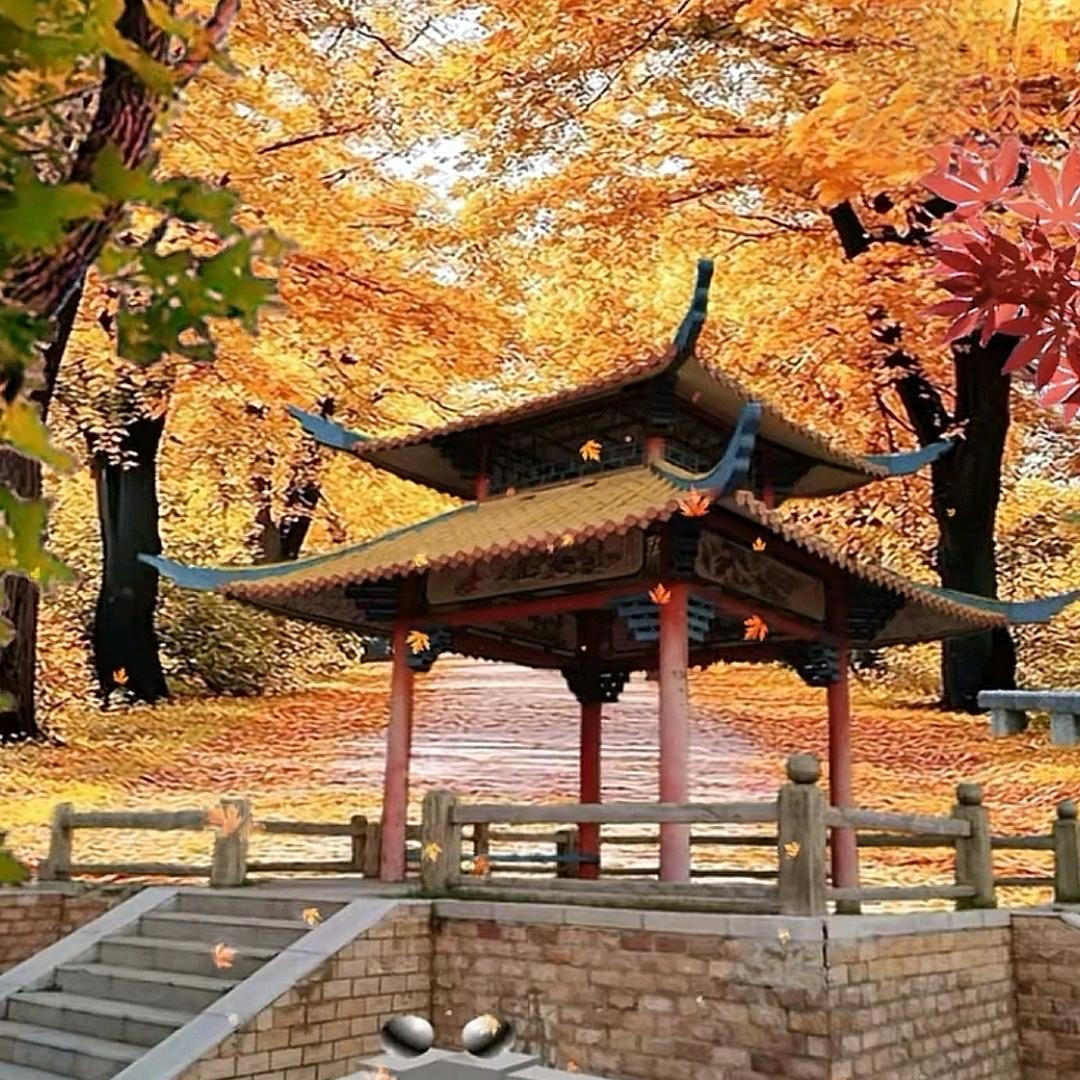 端木森