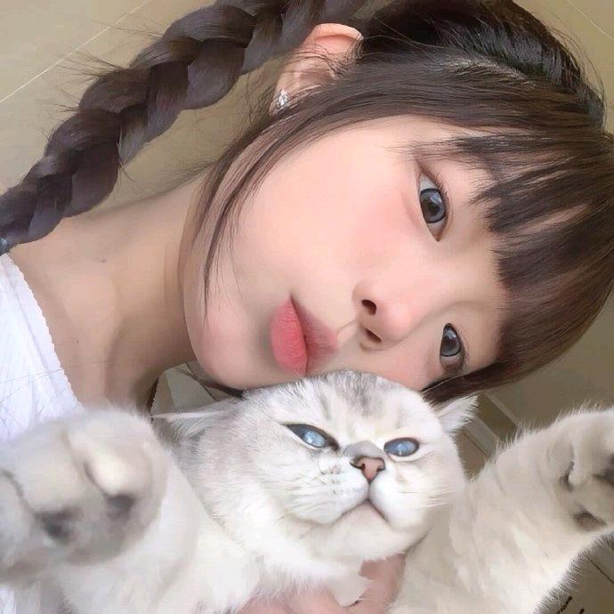 章鱼小丸子