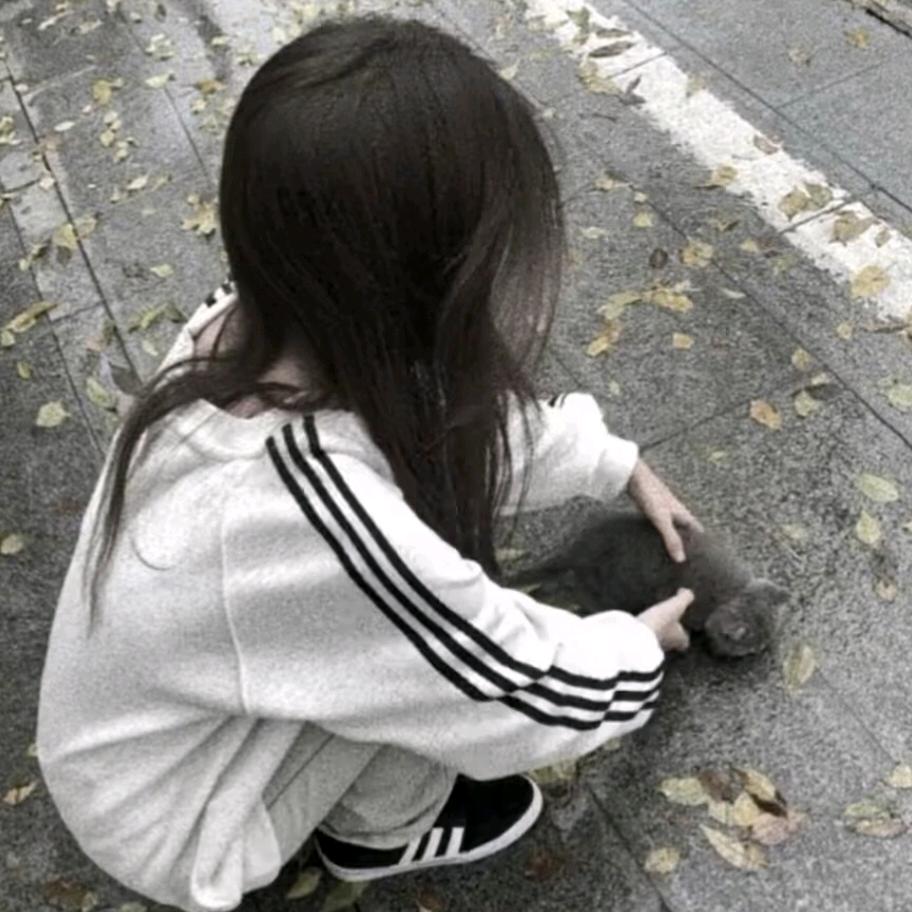 季桉辞
