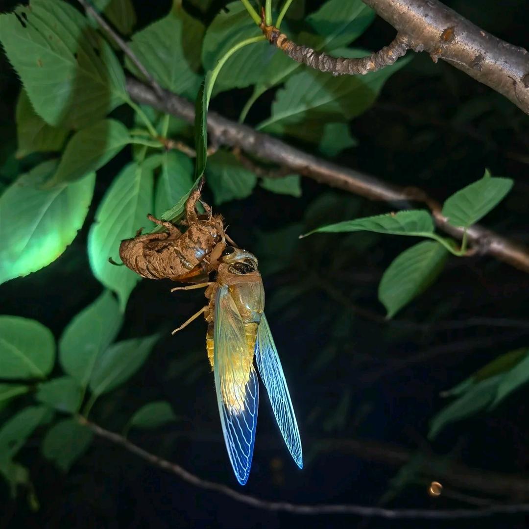 快漯购更知果语