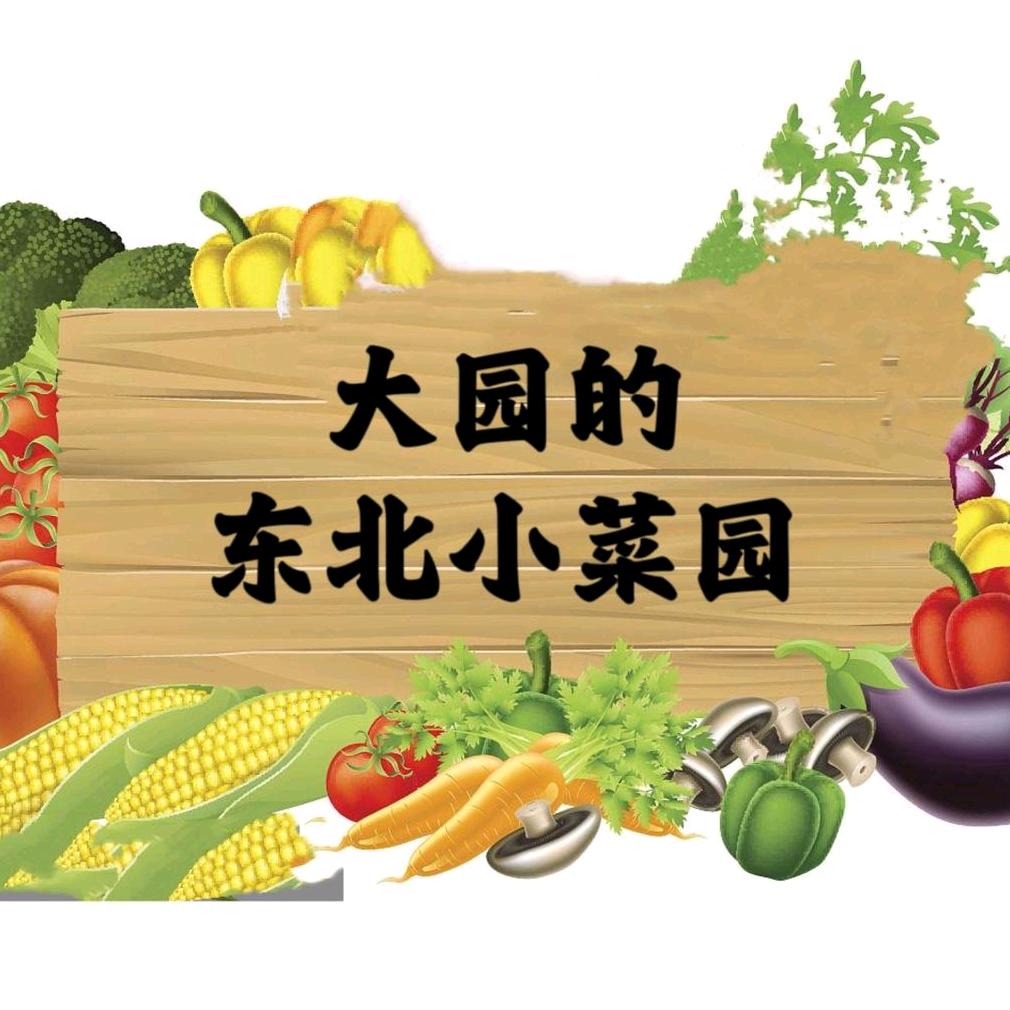 大园的东北小菜园