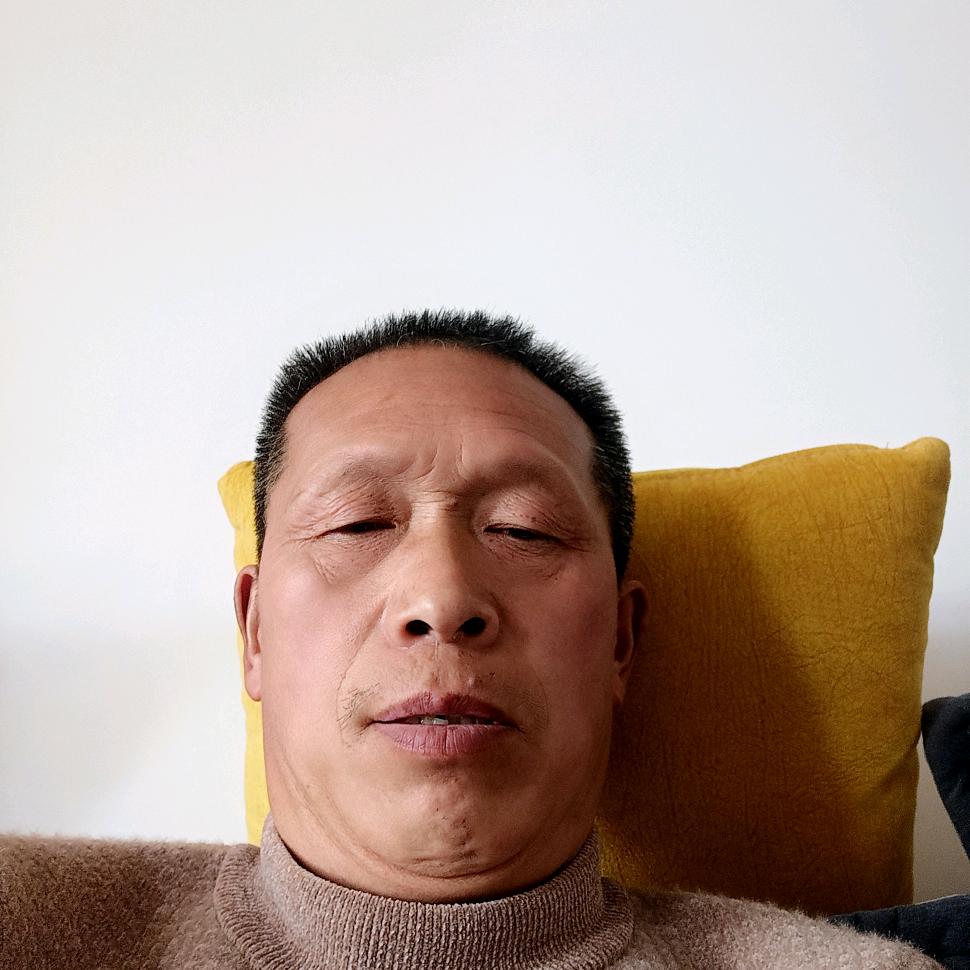 玉树林风