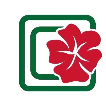 芙蓉之窗  窗帘工厂