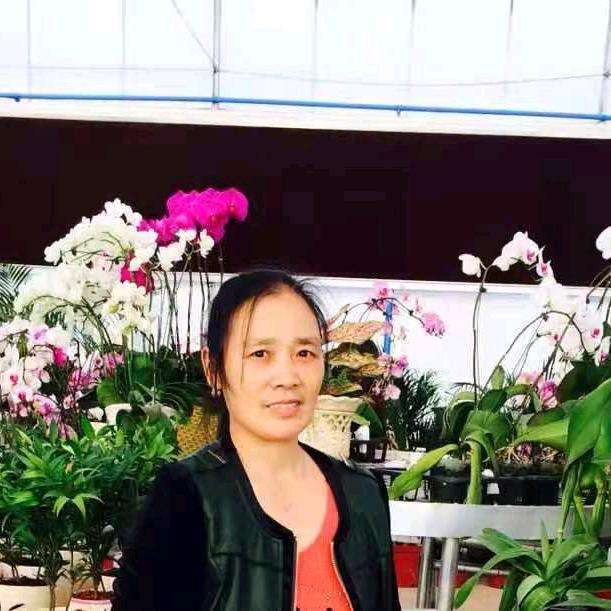 陈大姐