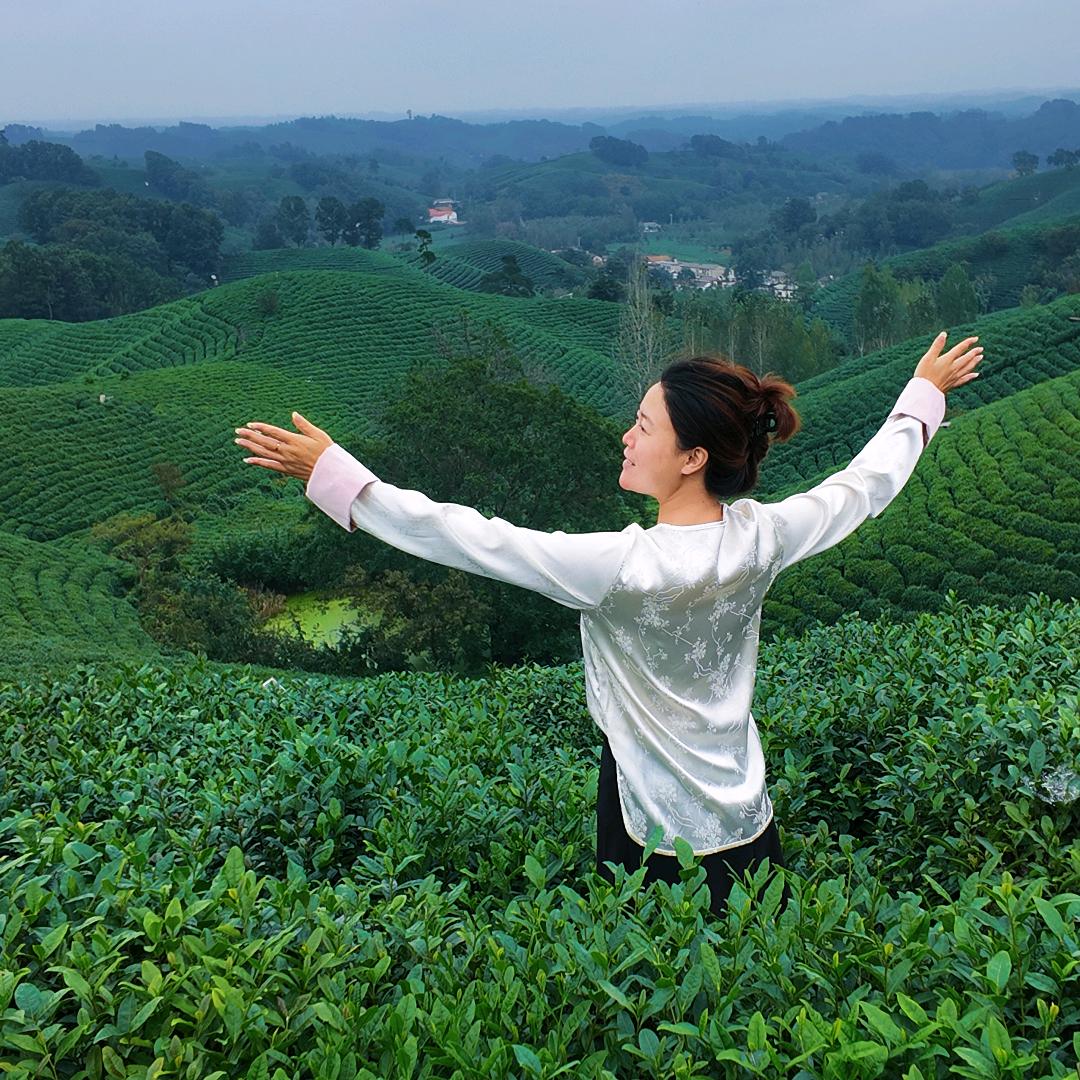 杨姑娘（致富与自由）