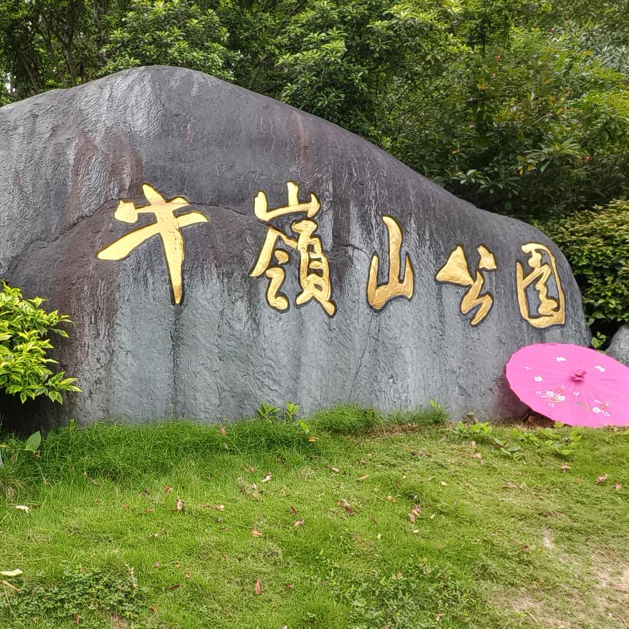 牛岭山茶叶茶器