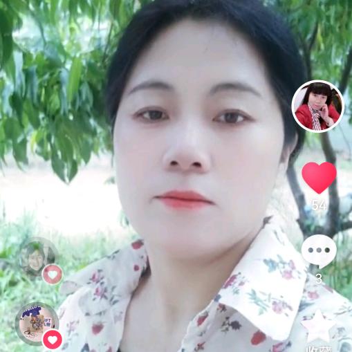 甜蜜蜜(贾姐喜庆出租  ）