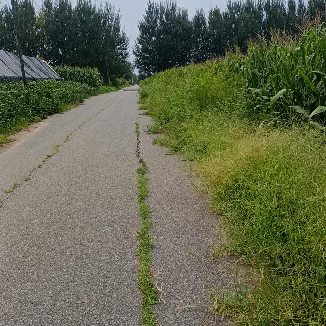 平淡人生。7662527