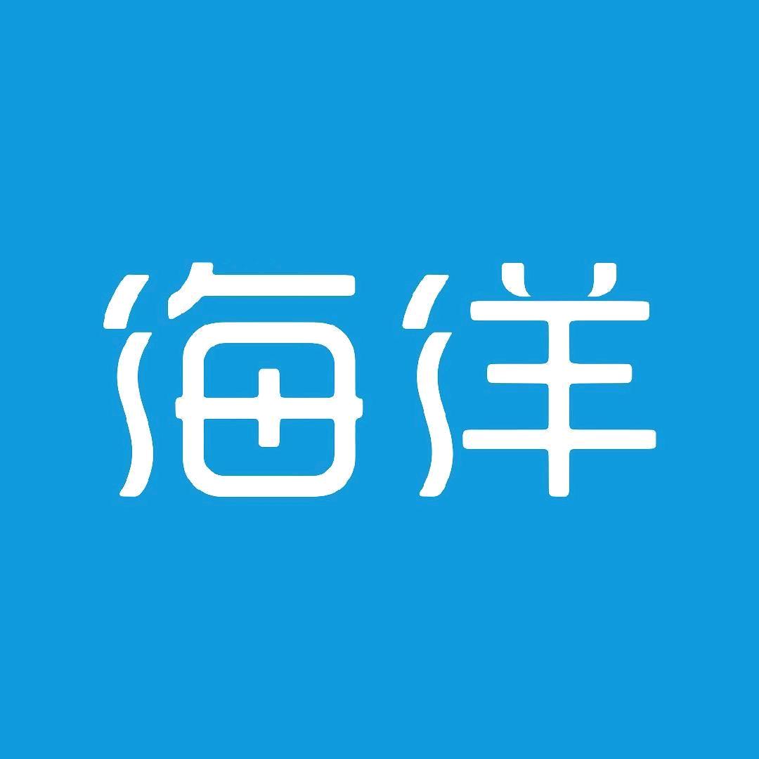 比亚迪海洋｜深圳信宝