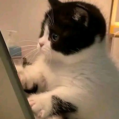 誉󠀀󠀀