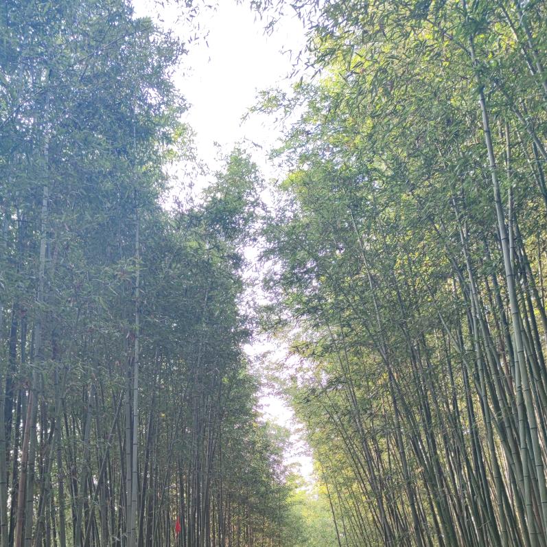 景色怡人