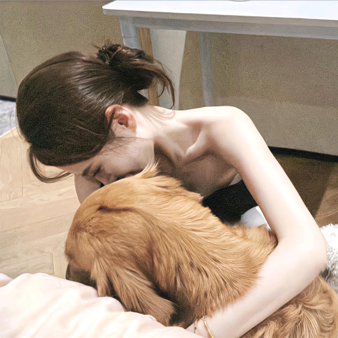 你的葵🌻