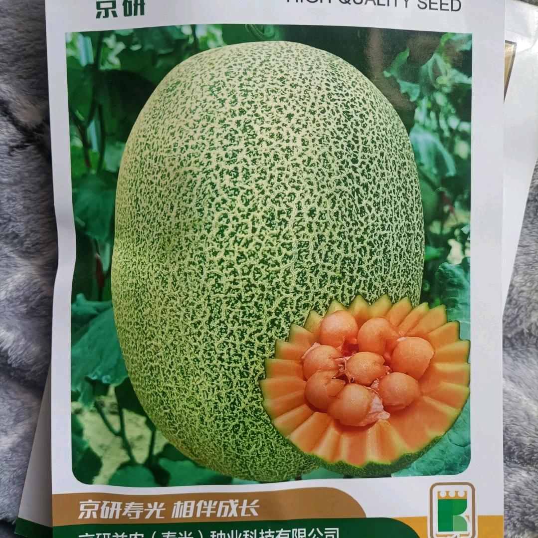 韩磊哈密瓜专业种植合作社