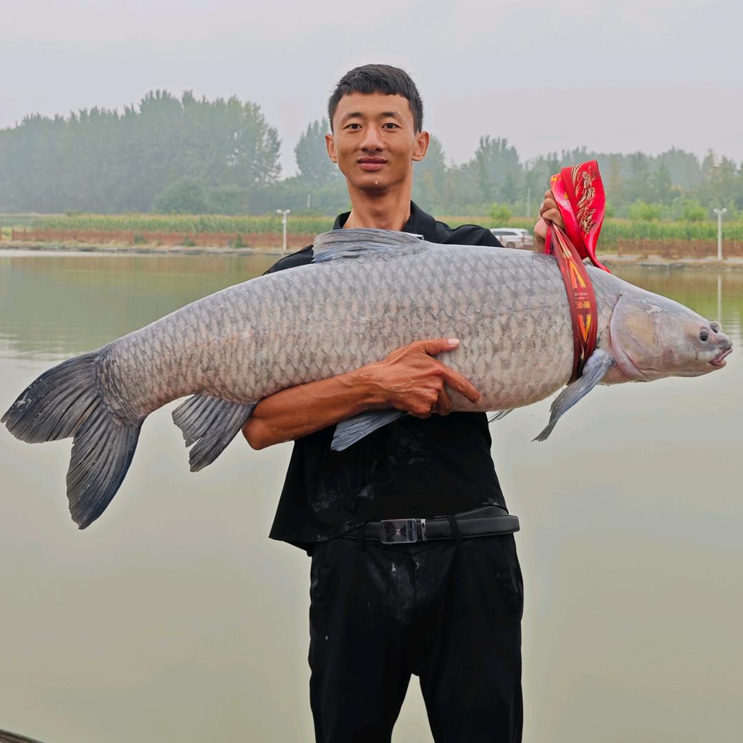 小赵钓鱼（下手特别黑）