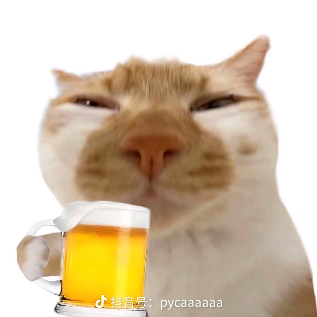 春花养猪场