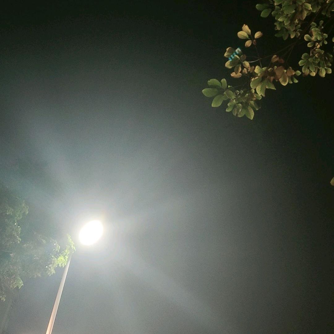 玉米