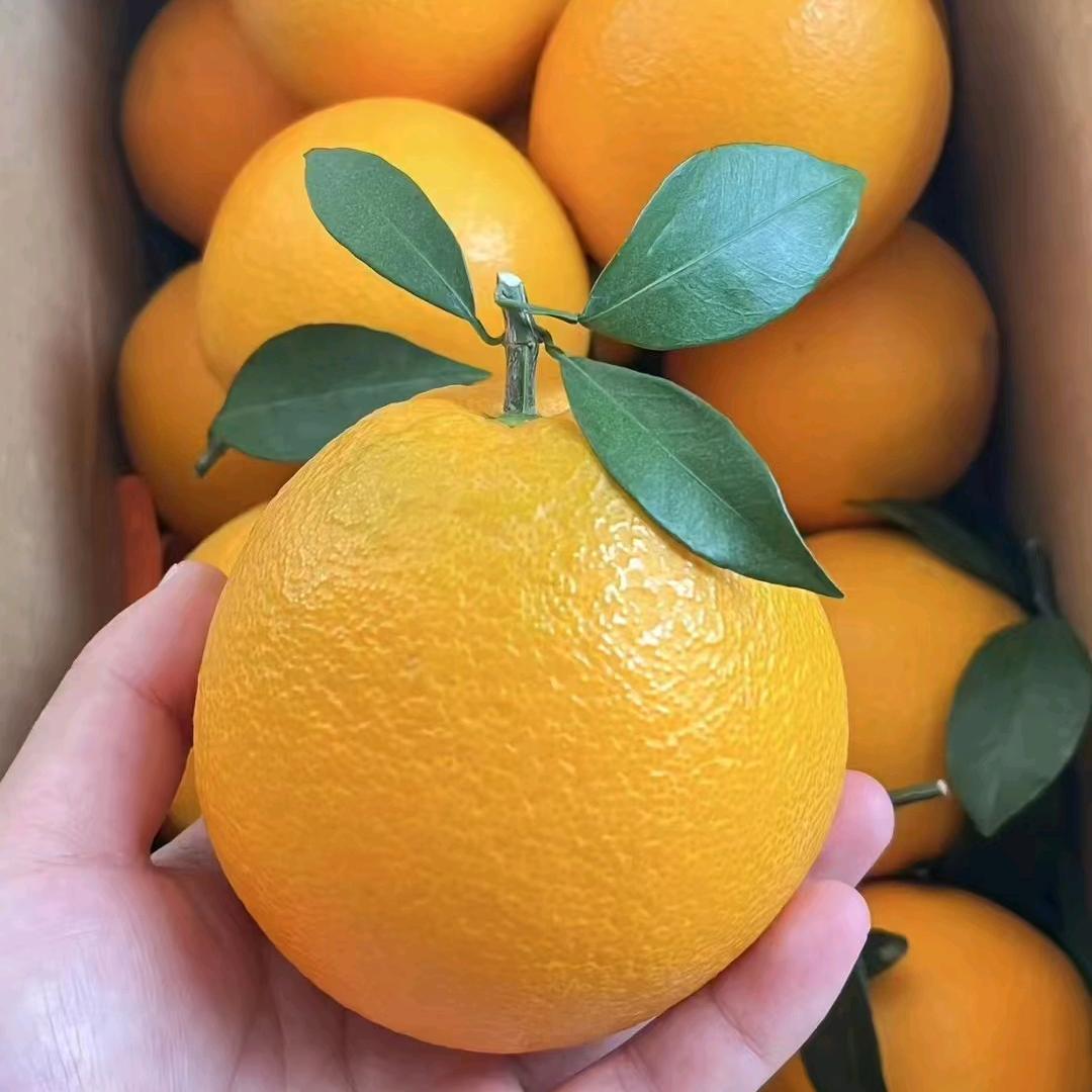 丽顺果园正宗赣南脐橙🍊
