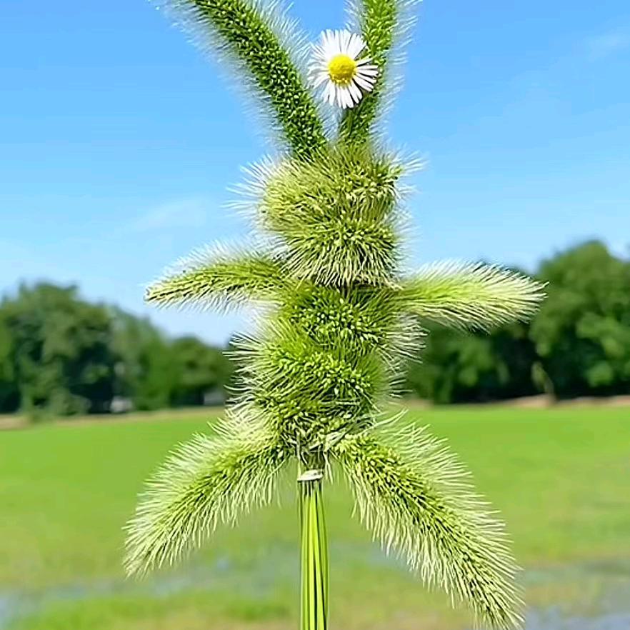 💗᭄余生ᝰᩚ随心ꦿ