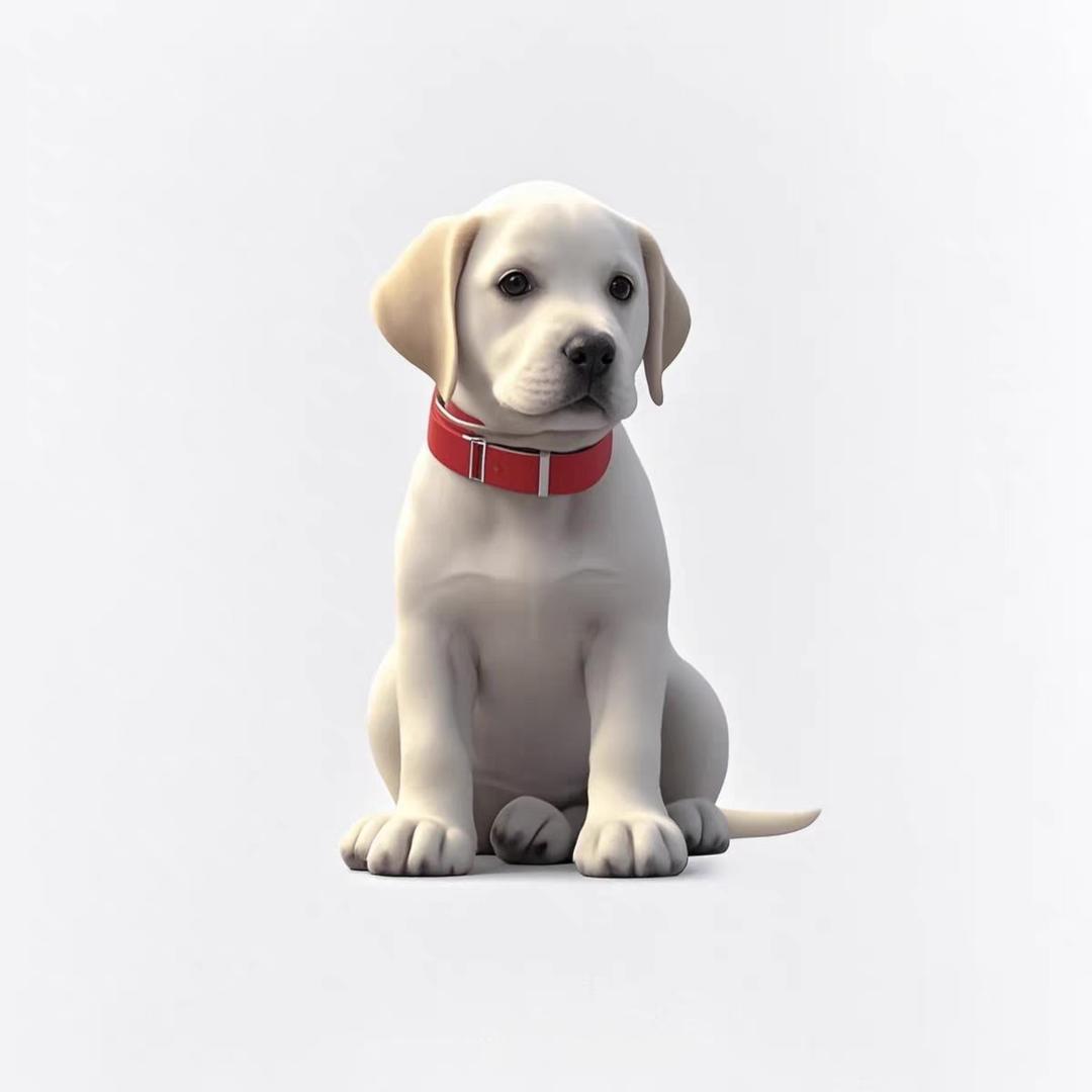 拉布拉多繁育基地